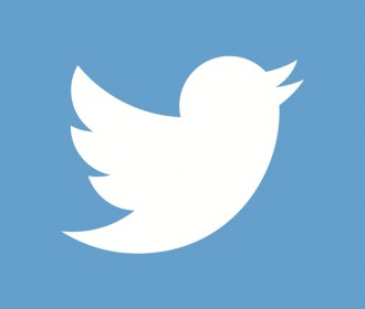 the twitter logo bird