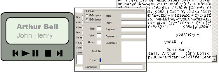 audio metadata information