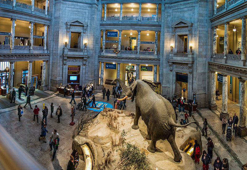 Museum of Natural History