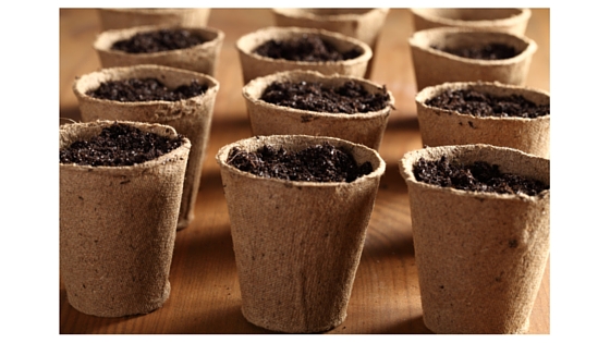 garden pots for seedlings
