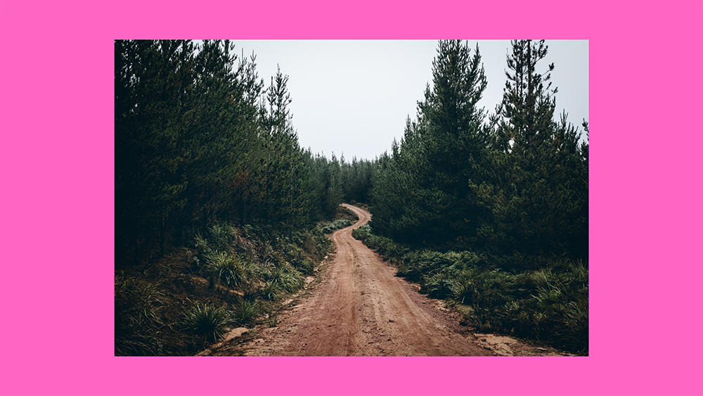 photograph of a brownish colored dirt road with trees on either side winding off into the distance