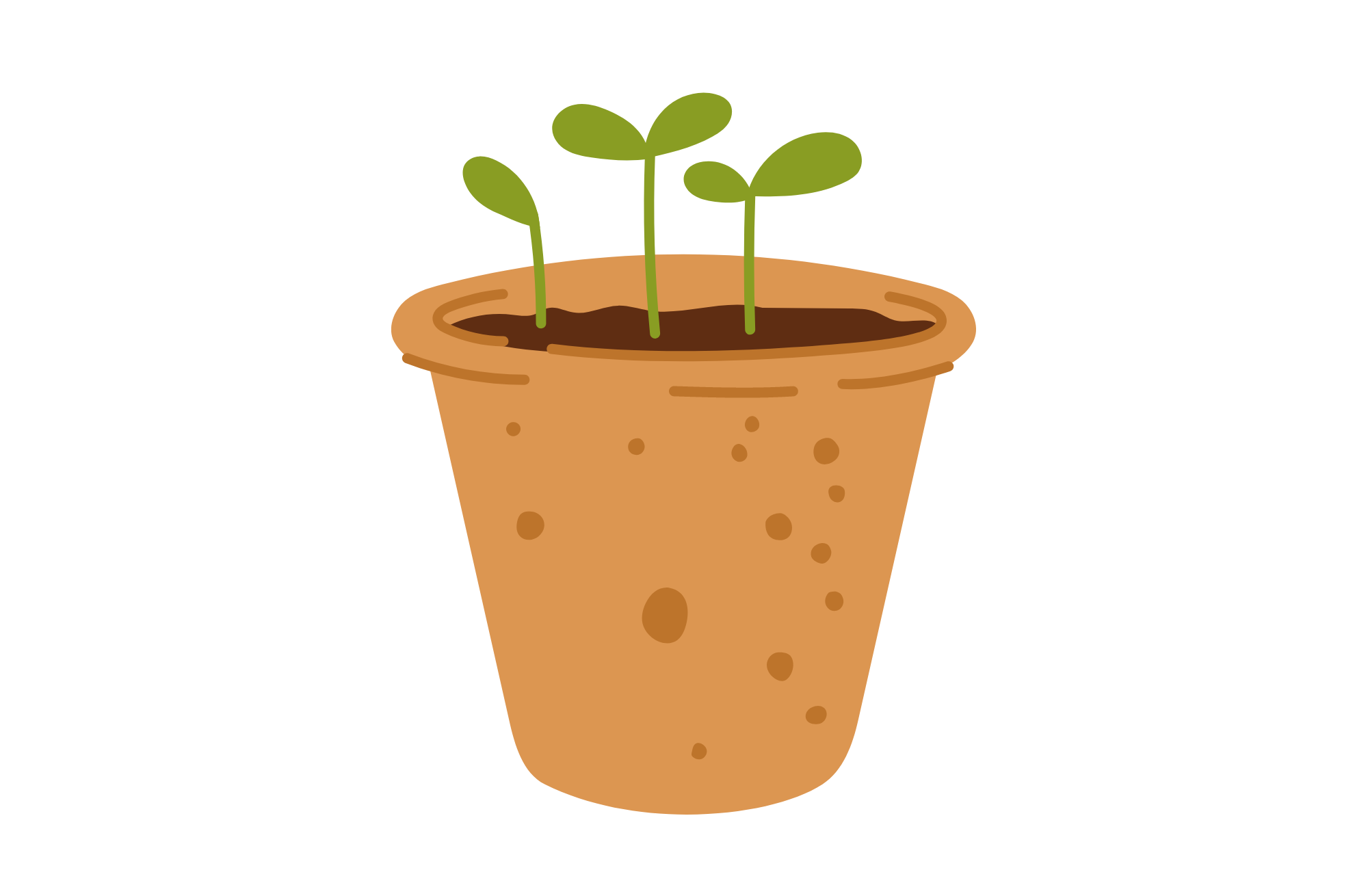 seedlings in a planter illustration