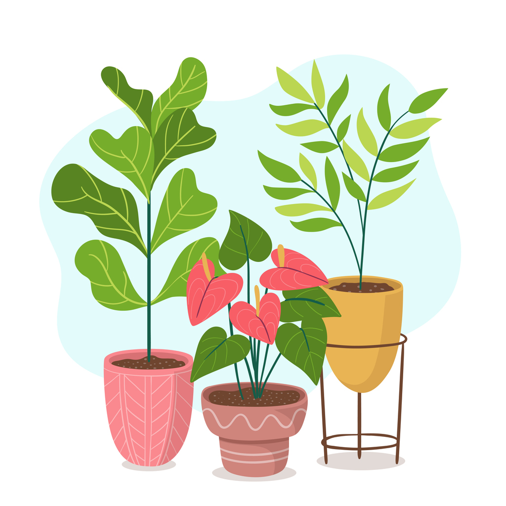 illustration of a grouping of three houseplants