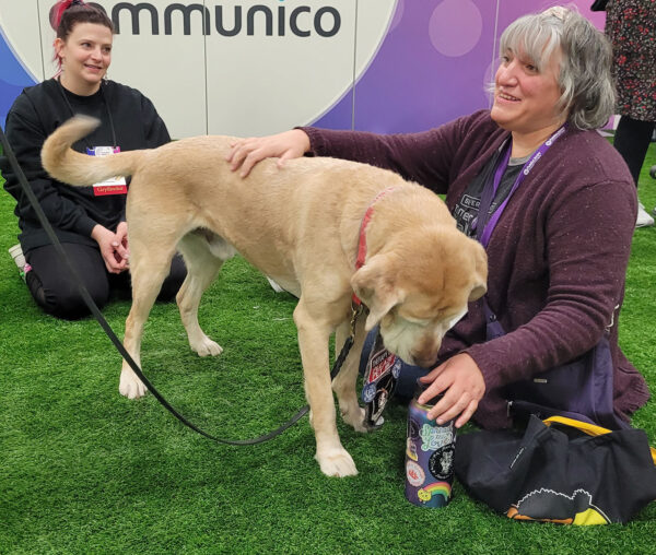 photo of a blonde dog with two people on fake grass in a booth at PLA 2024