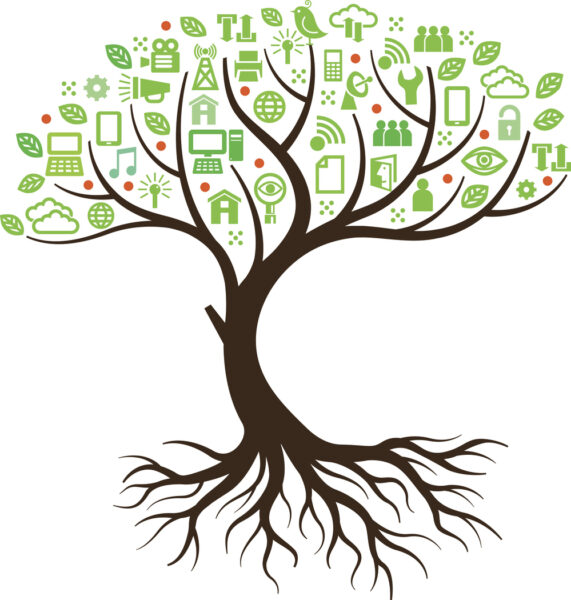 simple illustration of a tree with its leaves education symbols